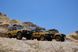 Машинка на радіокеруванні FMS FCX10 1:10 Land Rover Range ROVER RTR Yellow  FMS11044RSYL-SP фото 17